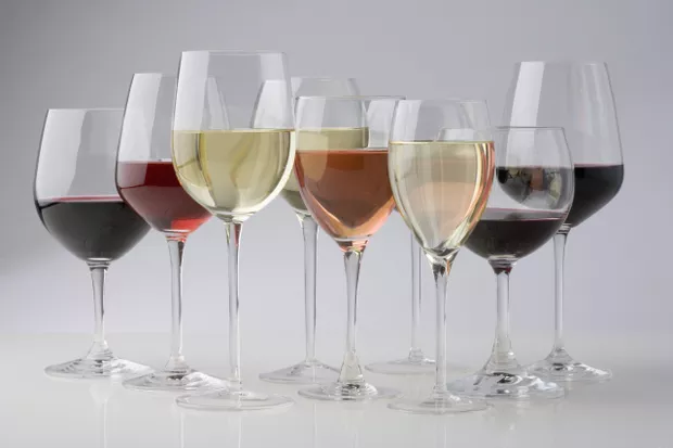 Uma Taça para cada Vinho: Um Guia Completo sobre os Tipos de Taças de Vinho